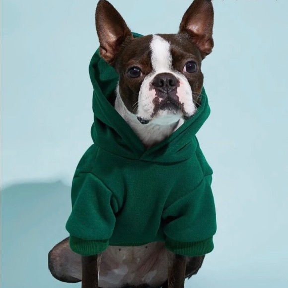 SOLD Dog Hoodies or Cat - Picture 3 of 6